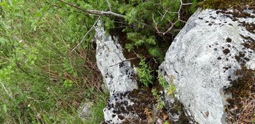 Parki i ogrody ziemi wieluńskiej - Załęczański Park Krajobrazowy - jeden z najpiękniejszych parków w Polsce, bo otulający zakole Warty